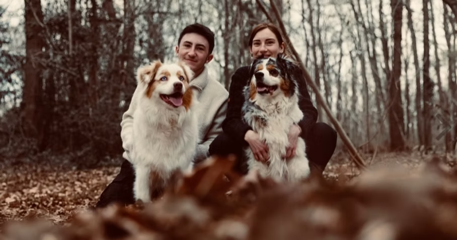 Doggydoo Pension Animale à Mery sur Oise dans le Val d'Oise : garde de chiens, garde de chats, promenades de chiens et plein d'autres services !