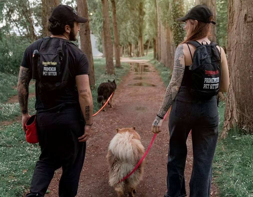 Les services chez Doggydoo Pension Animale : garde de chiens, promenade de chiens, garde de chats